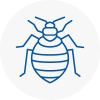 Bed Bug Extermination In Billinge